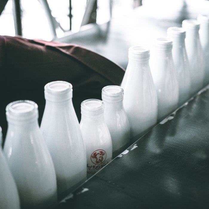 Молоко как продукт для приготовления кисломолочных продуктов в домашних условиях
