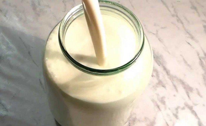 Как приготовить сметану из магазинного молока?