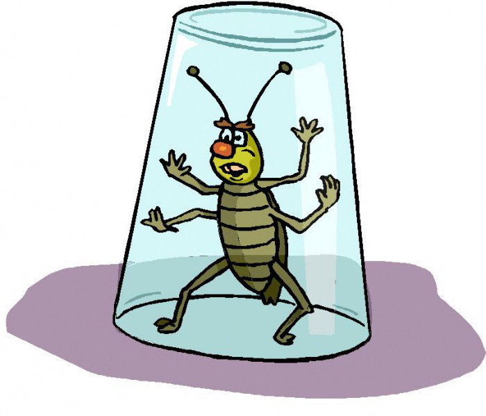 Помогает ли ультразвук при нашествии тараканов?