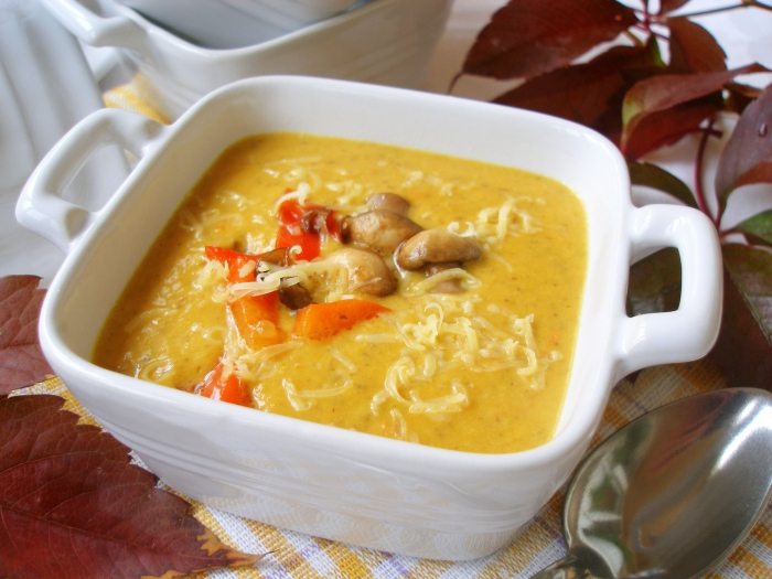 Вкусное первое блюдо с нежной консистенцией: рецепты приготовления супа-пюре с курицей